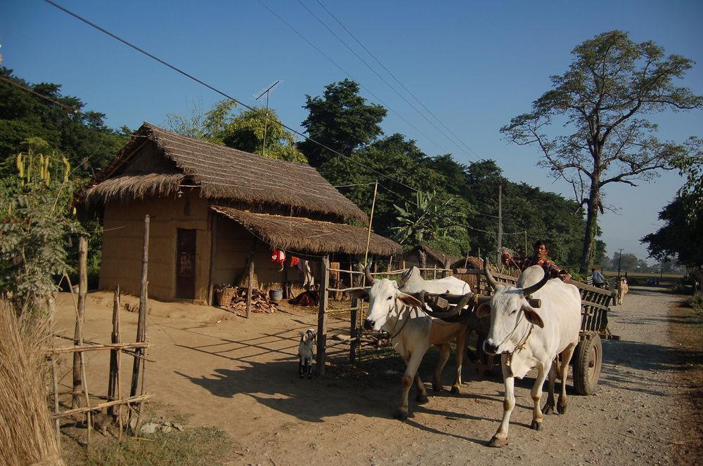 Machan Country Villa Kumarwarti Exterior photo